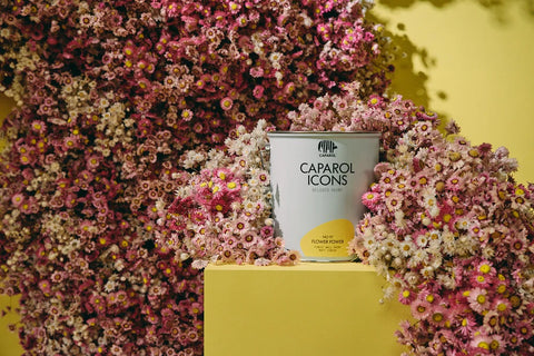 Caparol Icon Farbeimer in Blumen